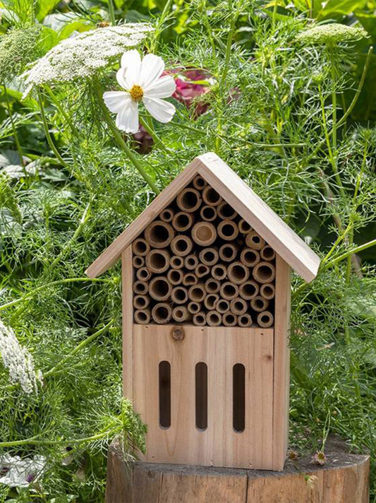 Una casa para abejas y mariposas.