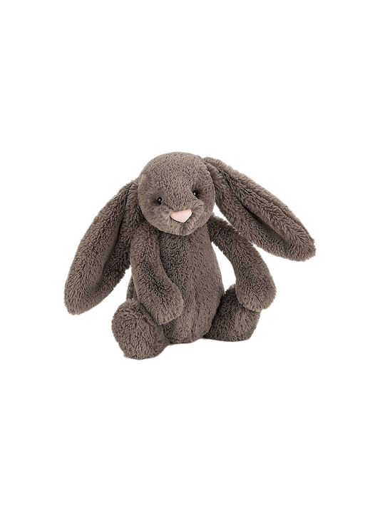 Soft cuddly bunny toy