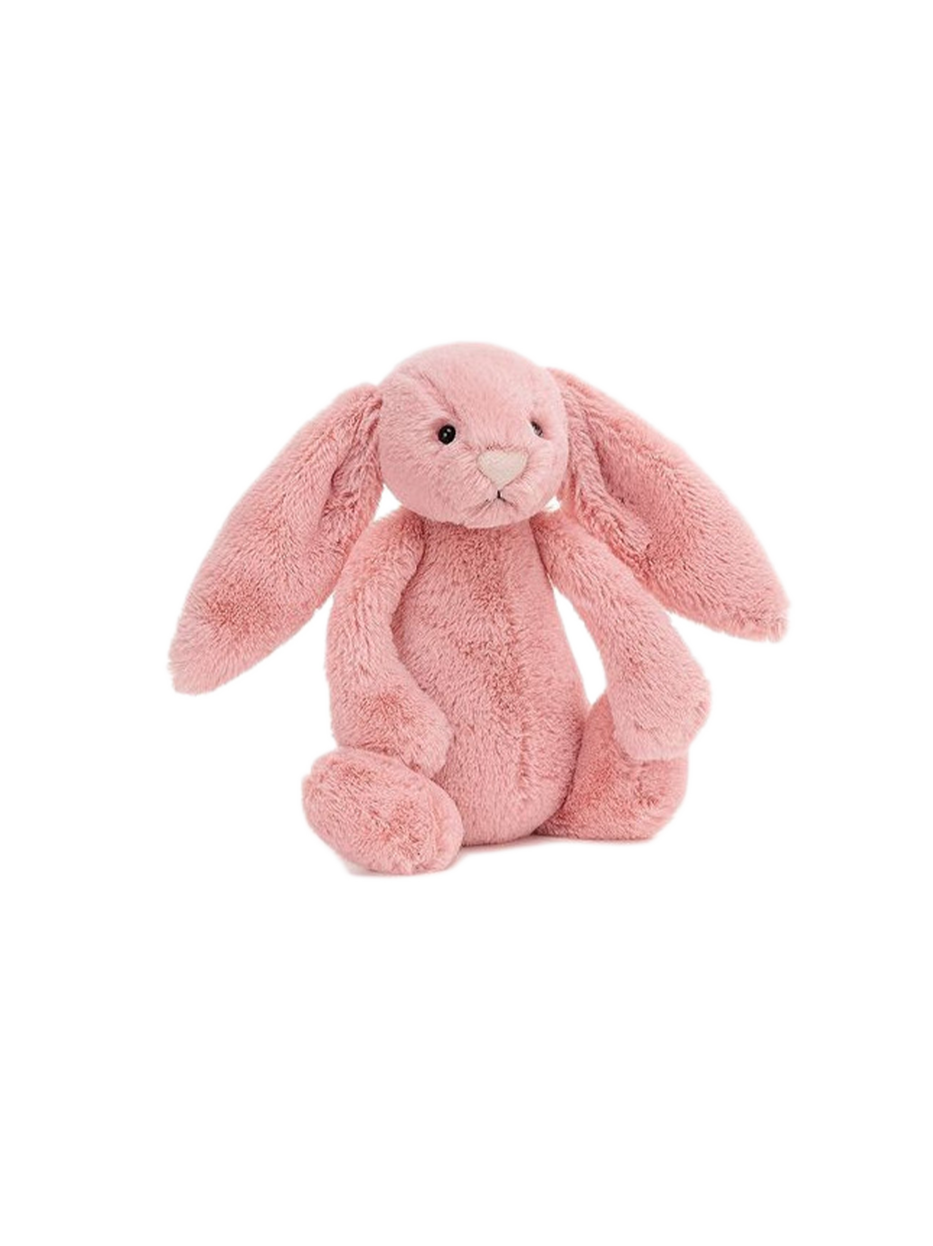 soft cuddly toy Bunny