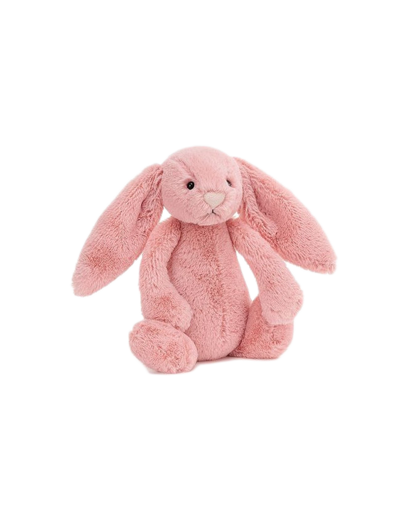 soft cuddly toy Bunny