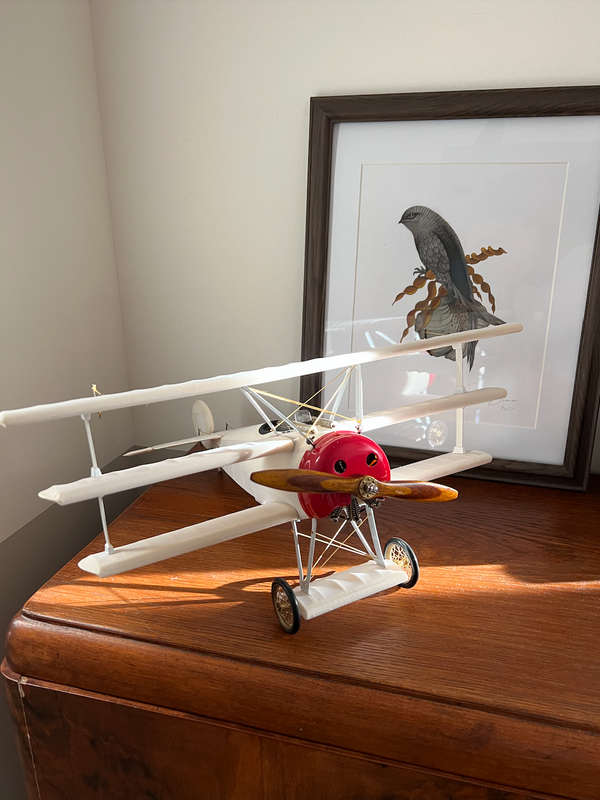 vintage airplane model triplane