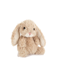 Cuddly little fluffy bunny