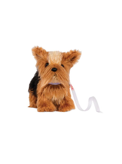 Toy puppy with a leash yorkshire terrier