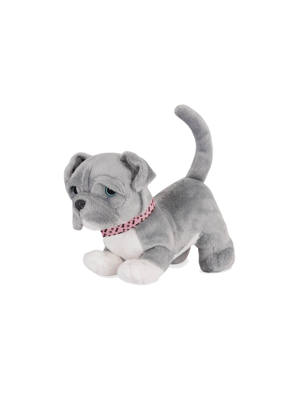 Toy puppy with a leash pitbull