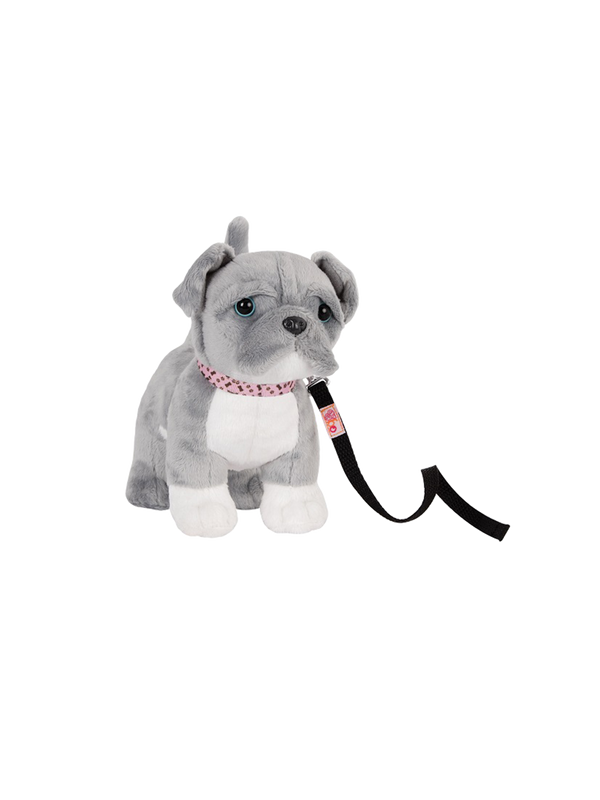 Toy puppy with a leash pitbull