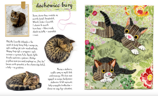 Un pequeño atlas de gatos (y gatitos) de Ewa y Paweł Pawlak