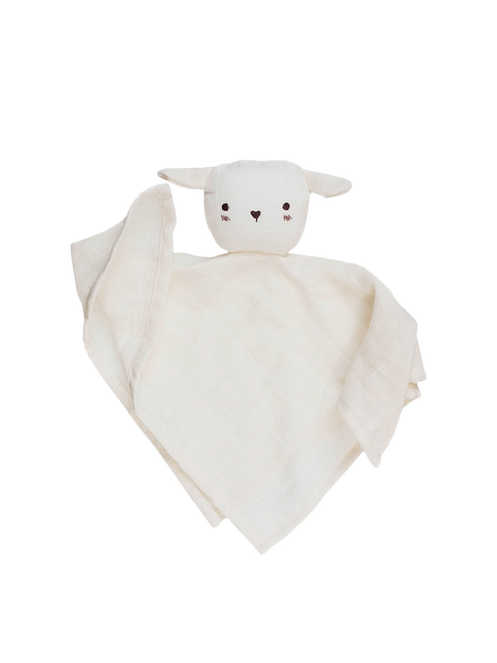 the first cuddle cloth Cuddle Cloth