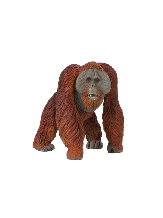 Large Borneo orangutan figurine