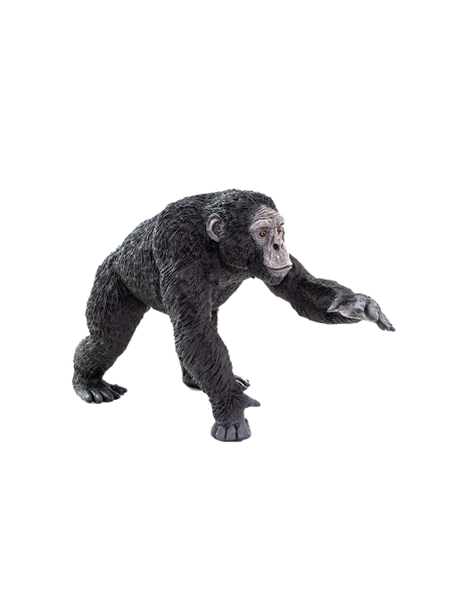 Grande statuetta di scimpanzé chimpanzee