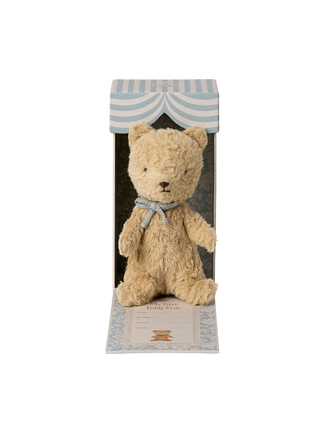 The first teddy bear in a gift box