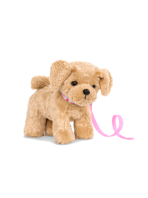 Toy puppy with a leash goldendoodle