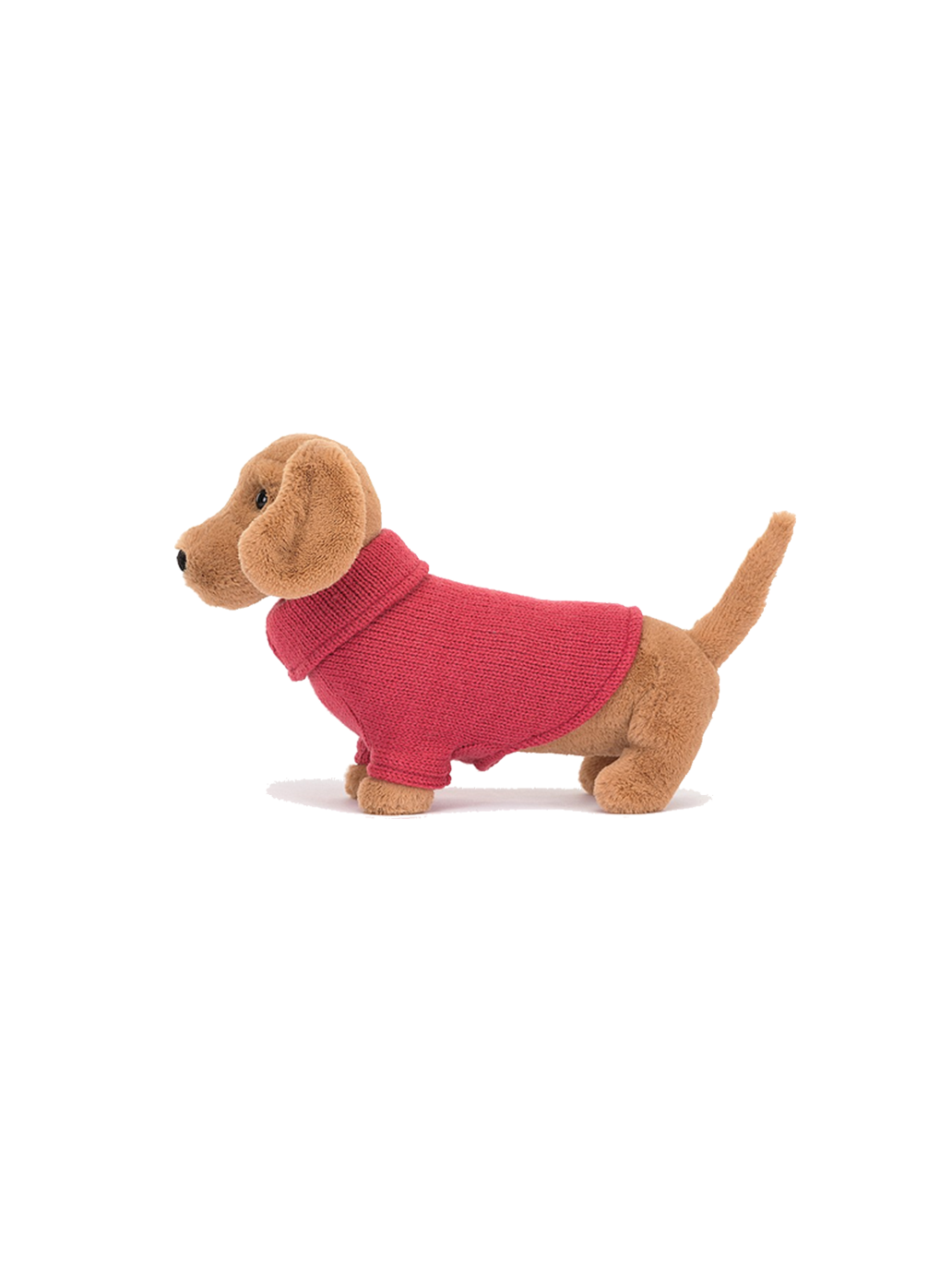 Cuddly dachshund in a sweater