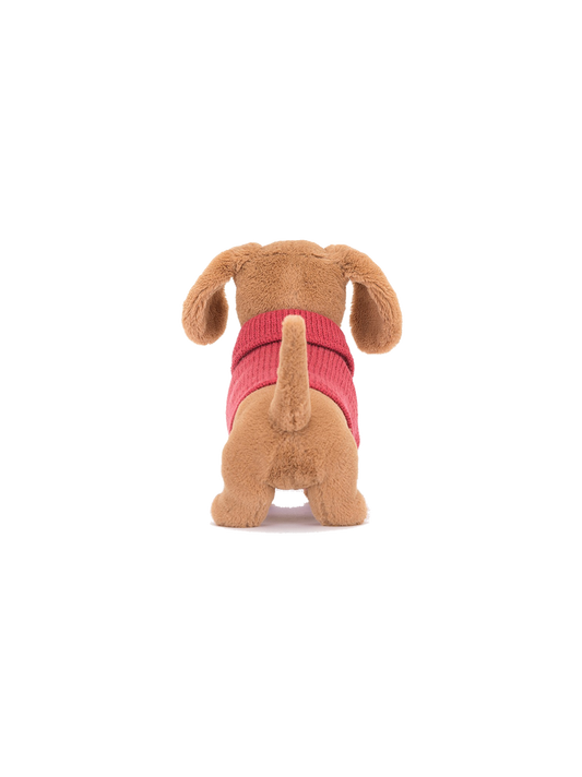 Cuddly dachshund in a sweater