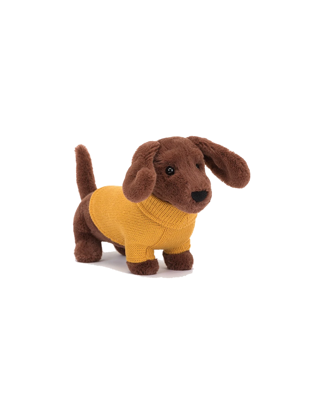 Perro salchicha tierno con suéter