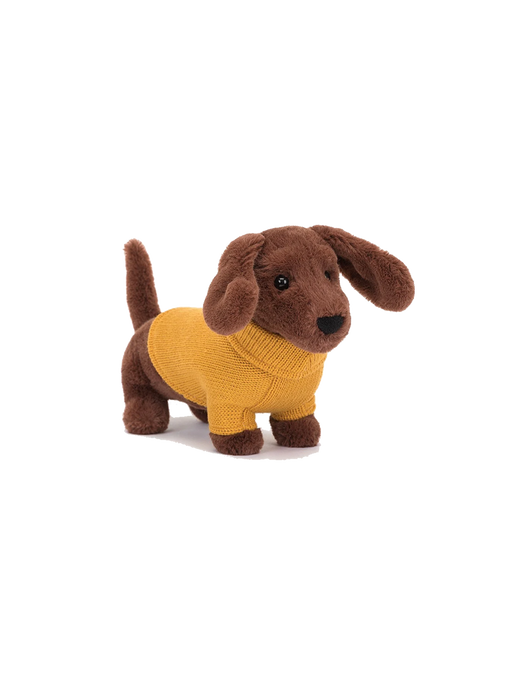 Cuddly dachshund in a sweater yellow