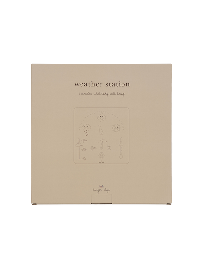 Wooden weather station