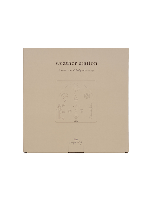 Wooden weather station