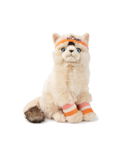 Dolly the Ragdoll soft toy