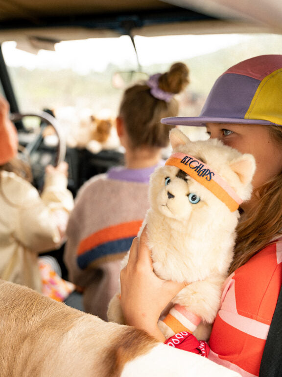 Dolly the Ragdoll soft toy