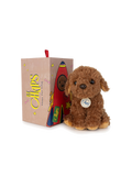 Peluche en una caja.