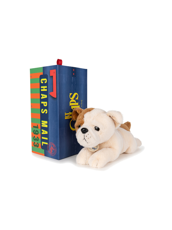 Soft toy in a box bertha the american bulldog