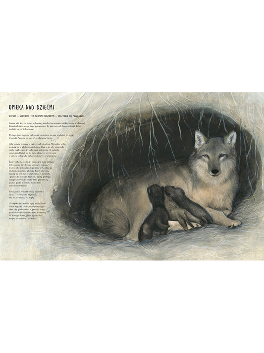 Czternaście wilków. O strażnikach ekosystemu