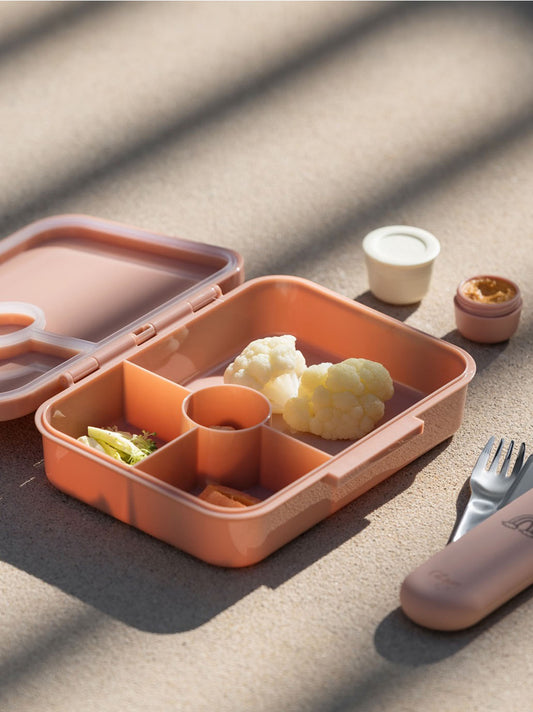 Tritan lunch box