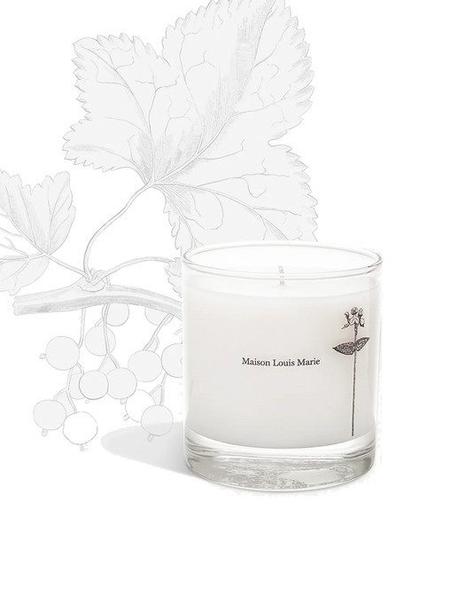 Scented candle cassis