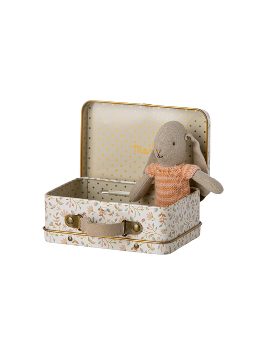 Micro bunny in metal suitcase