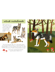 Mały atlas psów i szczeniaków Ewy i Pawła Pawlaków