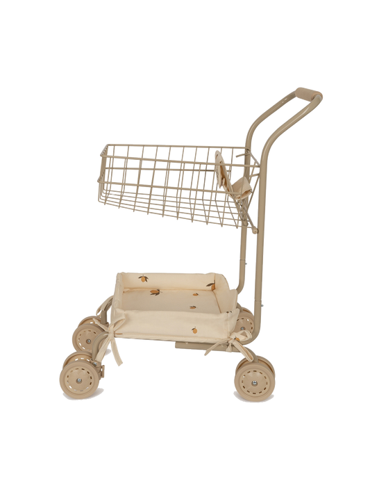 Kids shopping cart