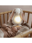 humming bunny with a bedside lamp powder