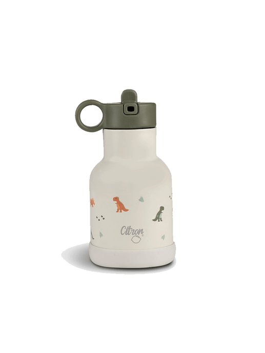 Thermo water bottle 250 ml dino