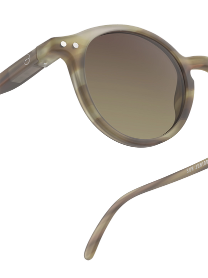 Adulto las gafas de sol icónicas