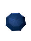 Eco-friendly umbrella