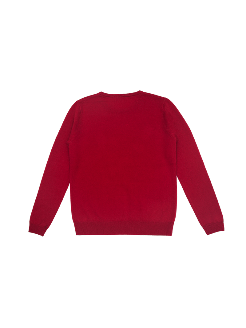 Classic cashmere sweater Billy Adult