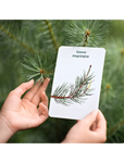 Educational cards drzewa
