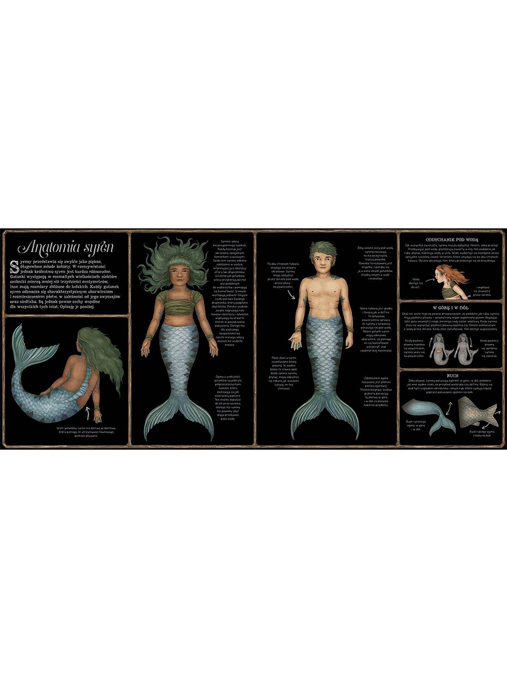 The natural history of mermaids