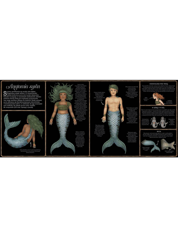 The natural history of mermaids