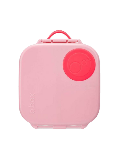 A small, tight lunchbox with compartments