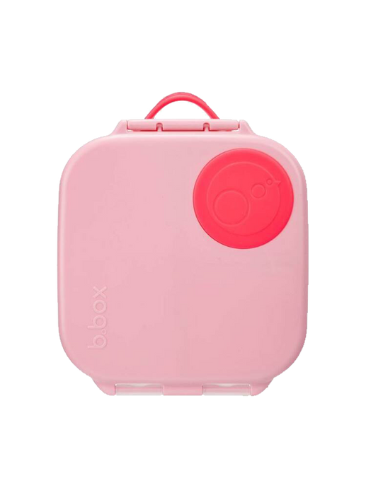 A small, tight lunchbox with compartments flamingo fizz