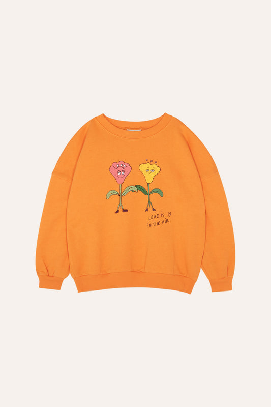 Cotton sweatshirt with a print