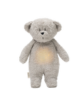 Organic humming bear with a lamp