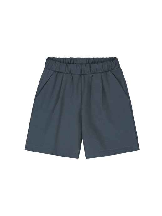 Bermuda shorts blue grey