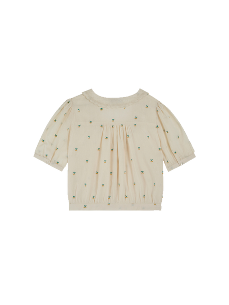 Women&#39;s blouse with embroidered details