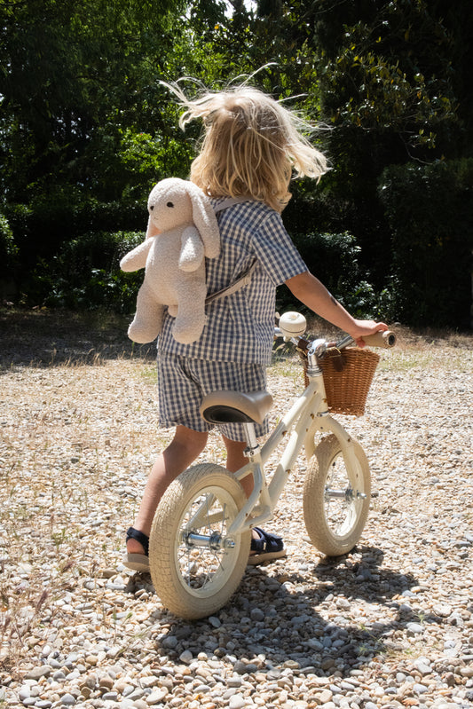 Balance bicycle with basket