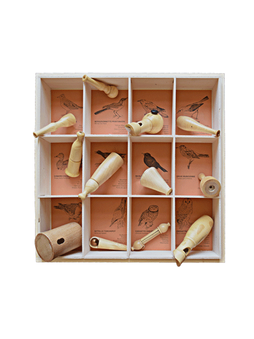 set of wooden instruments to imitate the sounds of birds