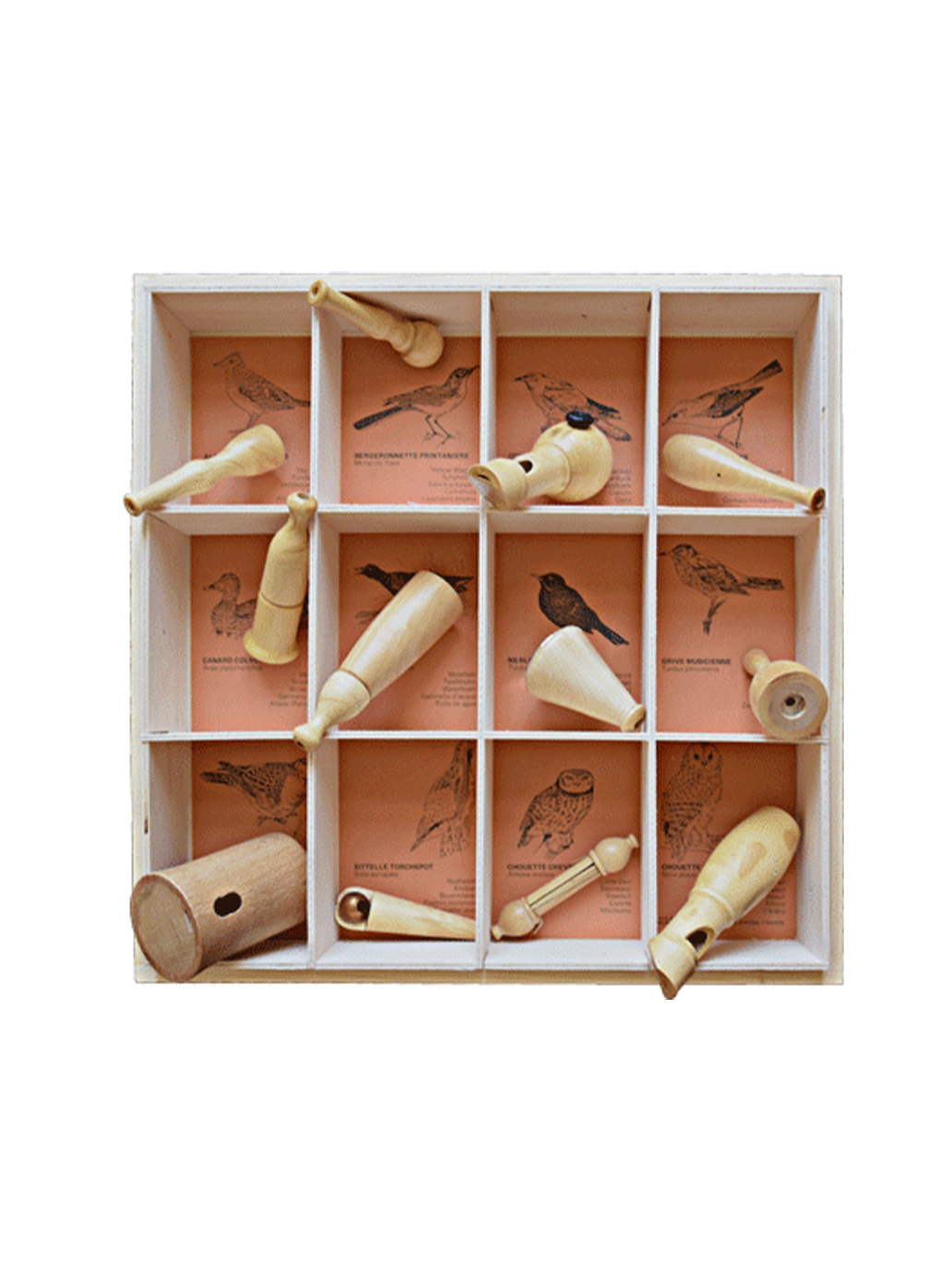 set di strumenti in legno per imitare i suoni degli uccelli