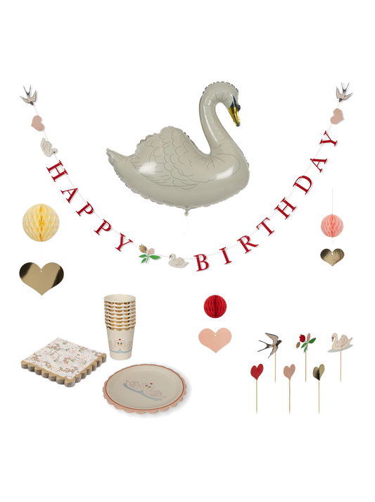 Party decoration kit