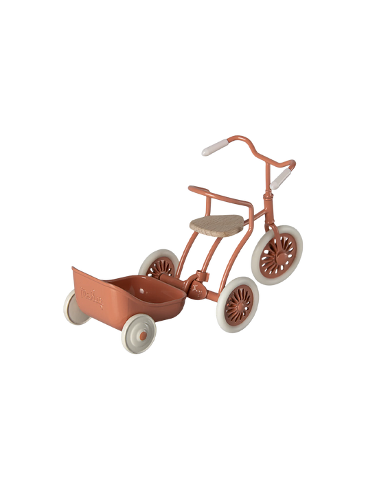 Miniature tricycle hanger